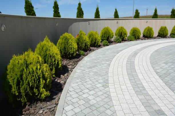 Best Decorative Driveway Pavers  in Irwin, SC